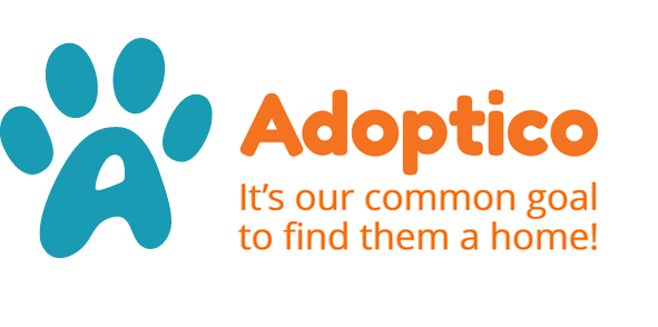 Logo of Adoptico